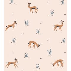 Tanzania - gazelle