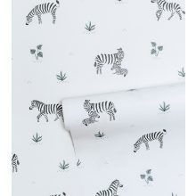 Tanzania - zebra