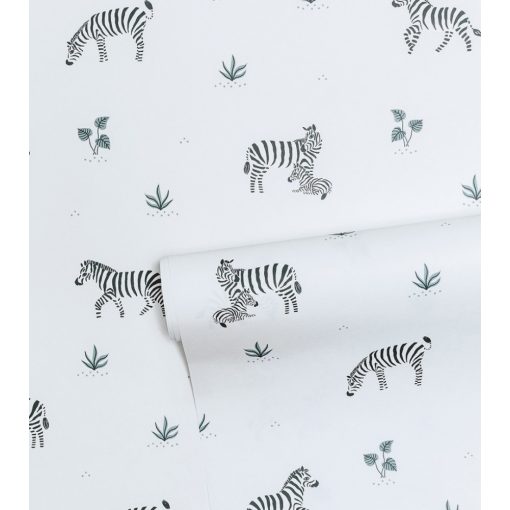 Tanzania - zebra