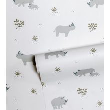 Tanzania - rhino