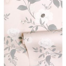 Grace - rosebush