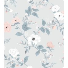 Grace - rosebush