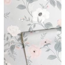 Grace - rosebush