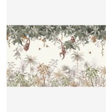 Utan - Panoramic monkeys