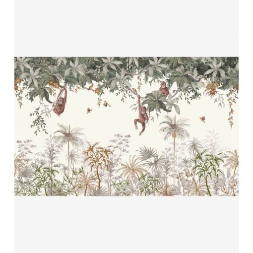 Utan - Panoramic monkeys