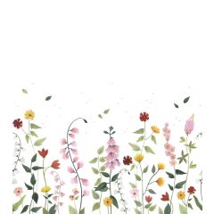 Queyran - Panoramic flowers