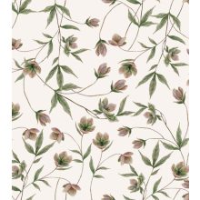 Wellington - hellebore