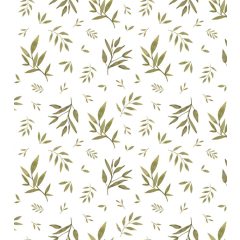 Norwood - foliage