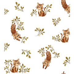 Felidae-little tiger