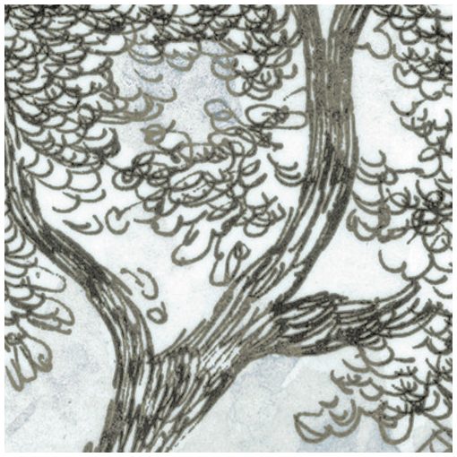 Rising Roots