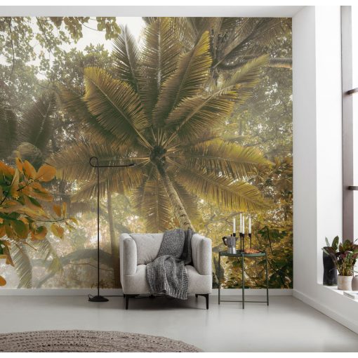 Palms Panorama