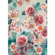 Pink roses Színes rózsás poszter tapéta