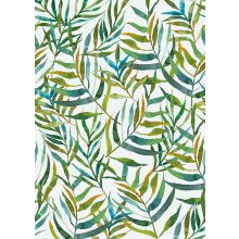 Big leaves Pálma leveles poszter tapéta