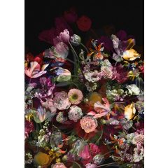   Flower explosion dark Nagy virágokkal díszített poszter tapéta