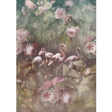 Flamingo found dark Rózsaszín flamingós poszter tapéta