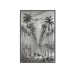 Palm BEACH Fekete fehér naturális kép