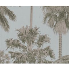 California Palm trópusi mintás tapéta, pálmafás tapéta