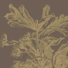 Virág mintás tapéta gyönyörű színekben