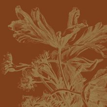 Virág mintás tapéta gyönyörű színekben