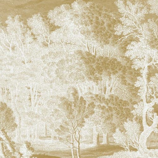 Gravírozott tájkép