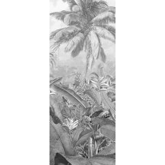 Amazonia Black & White