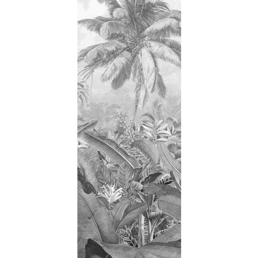 Amazonia Black & White