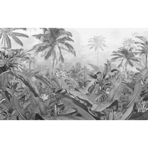Amazonia Black and White