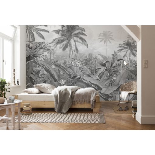 Amazonia Black and White