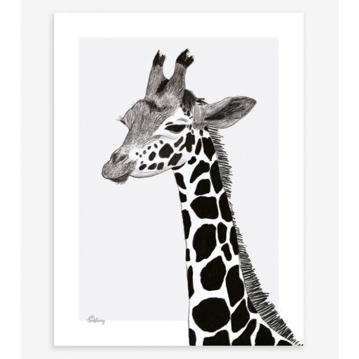 Serengeti - giraffe