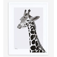 Serengeti - giraffe