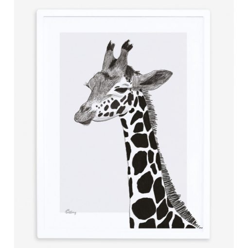 Serengeti - giraffe