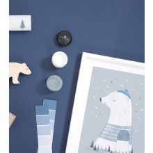 Artic dream - polar bear