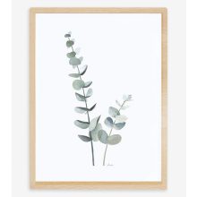 Greenery - eucalyptus 