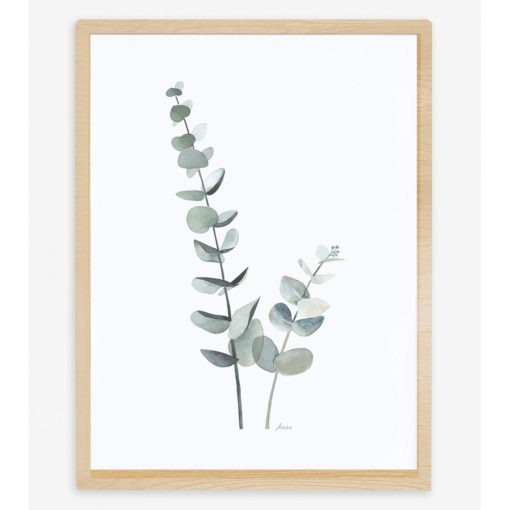 Greenery - eucalyptus 