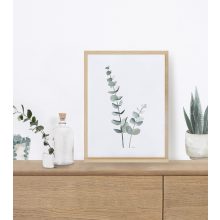 Greenery - eucalyptus 