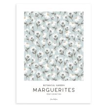 Picnic day - marguerittes