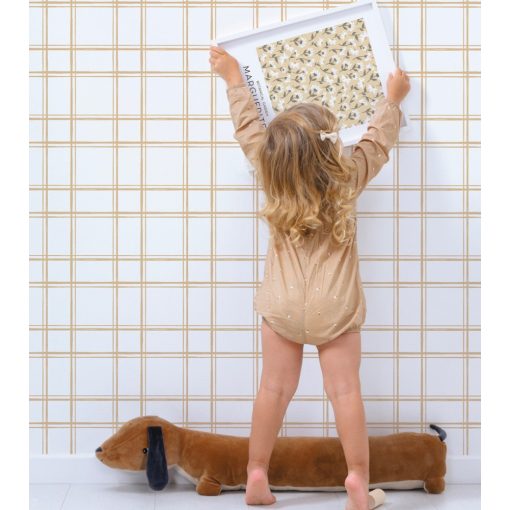 Picnic day - marguerittes