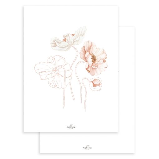 Islandic poppies - set of 2 posters