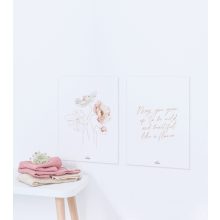 Islandic poppies - set of 2 posters