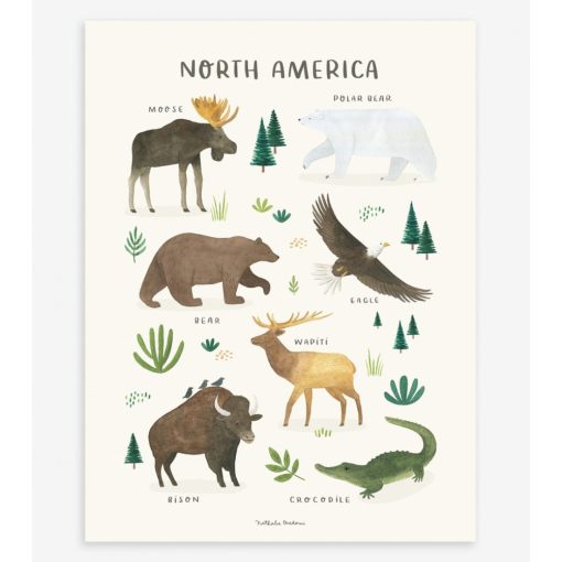 Living earth - north america