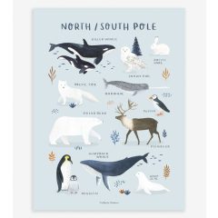 Living earth - north/south pole