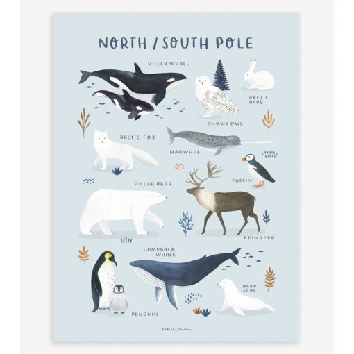 Living earth - north/south pole