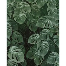 Monstera on Marble