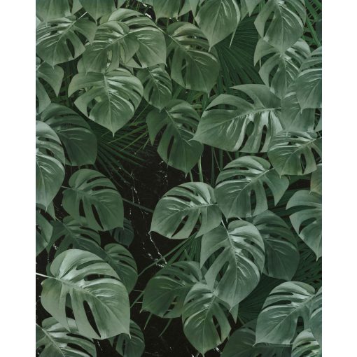 Monstera on Marble