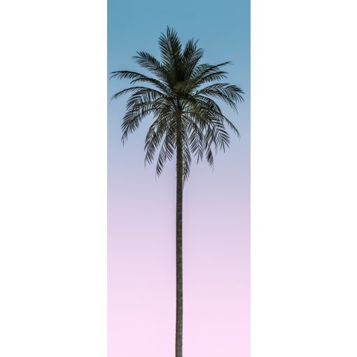 Skyhigh