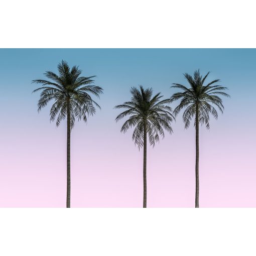 Skyhigh