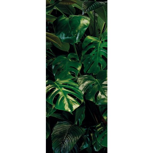 Tropical Wall