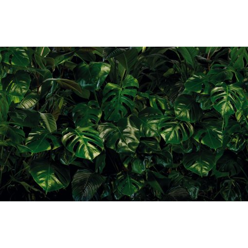 Tropical Wall