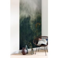 Tales of the Carpathians