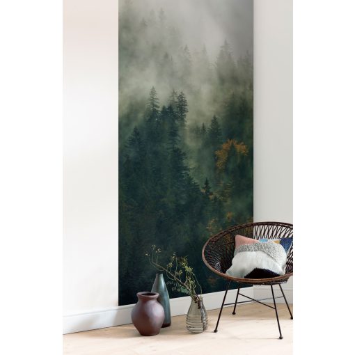 Tales of the Carpathians